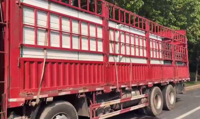 旭東PVC圍擋批發(fā)直供龍崗工地，2500米圍擋當(dāng)天閃電送達(dá)
